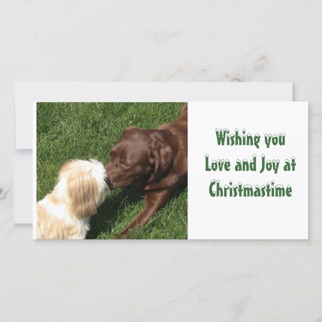 Kissing Shihtzu & Choc Lab Dogs Xmas Holiday Card (Front)
