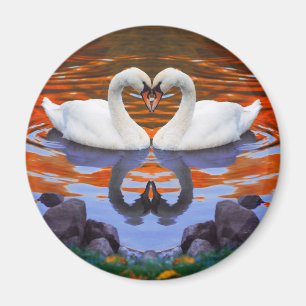 Kissing Swans in Love, Heart Shape Necks Magnet