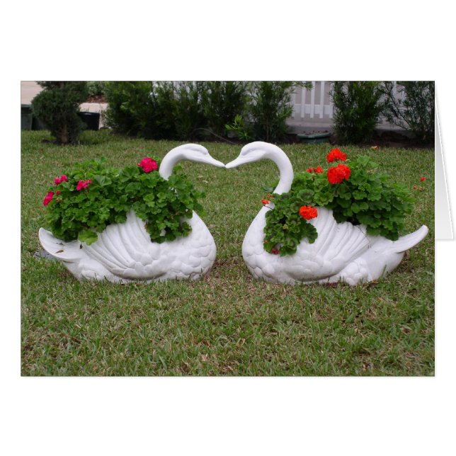Kissing swans planters (Front Horizontal)