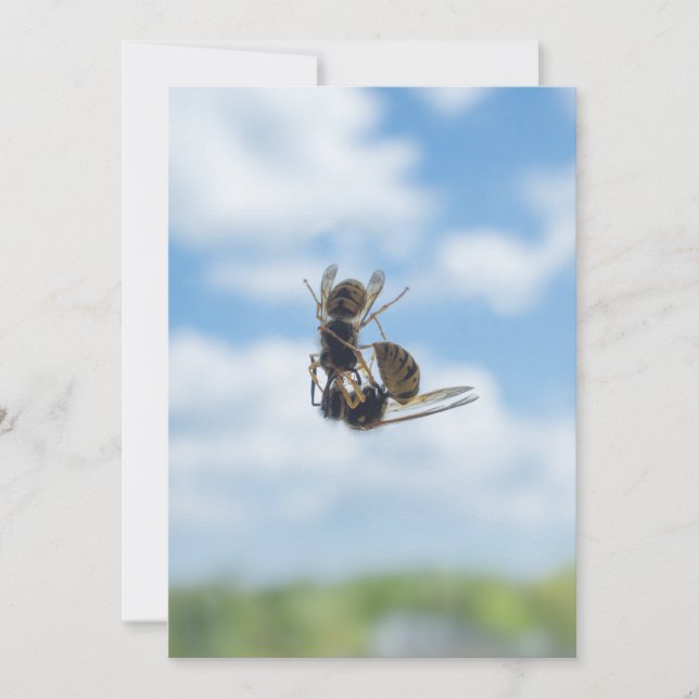 Kissing wasps invitation (Front)