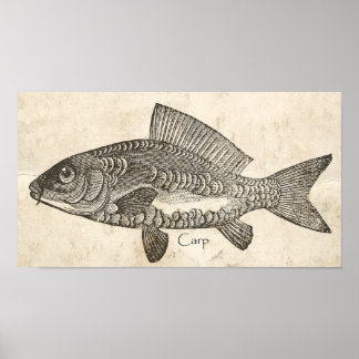 Kitchen Decor Wall Art Vintage Carp Koi Fish