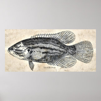 Kitchen Decor Wall Art Vintage Fish Mud Sunfish