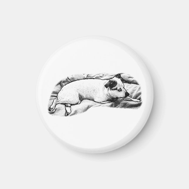 Kitchen Gallery: Terrier, Snowy Dots Magnet (Front)