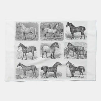 kitchen horse decor horse themed kitchen items tea towel