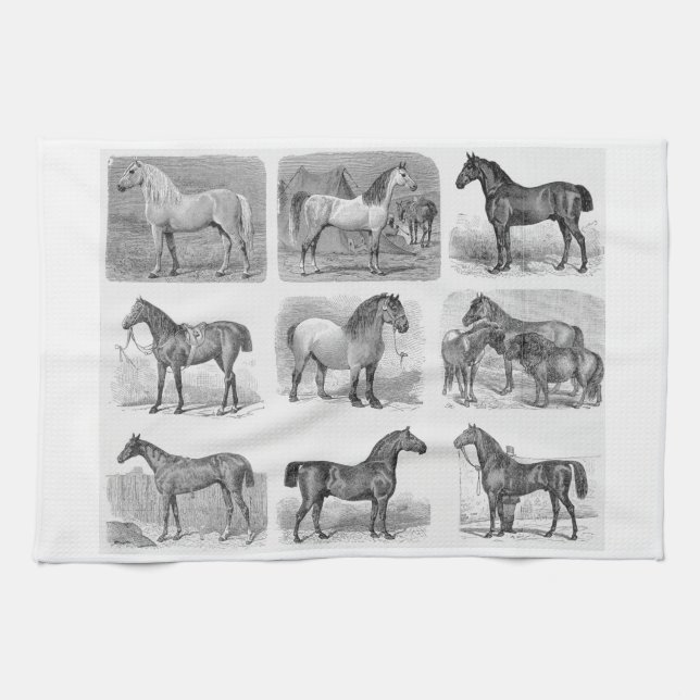 kitchen horse decor horse themed kitchen items tea towel (Horizontal)