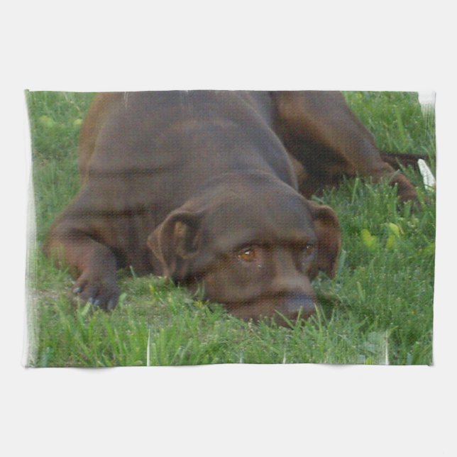 Kitchen Towel - Customised (Horizontal)