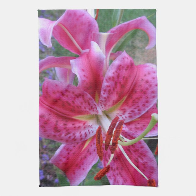Kitchen Towel--Stargazers-2 Tea Towel (Vertical)