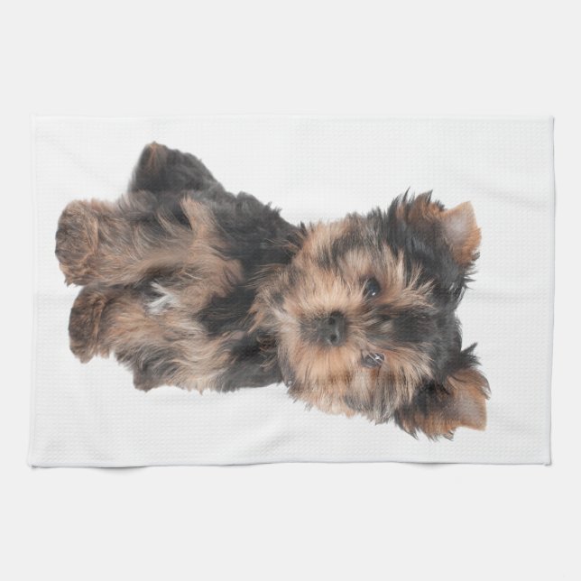 Kitchen Towels (Horizontal)