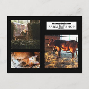 Kitchens Garden Collage Postcard