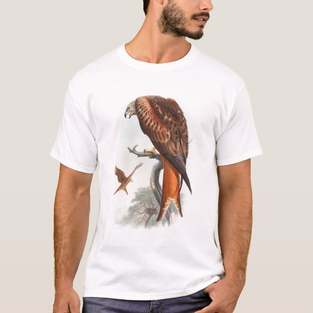 Kite Glead Hawk John Gould Birds of Great Britain T-Shirt (Front)