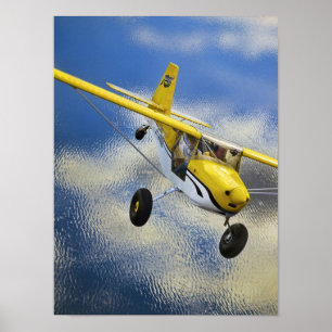 Kitfox Above Lake Poster