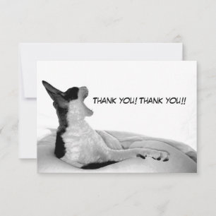 Kitsa Diva: Queen of Her doman Thank You Card