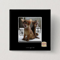 Kitteh carols