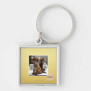 Kitteh carols key ring
