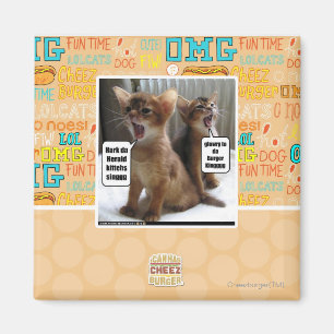 Kitteh carols magnet