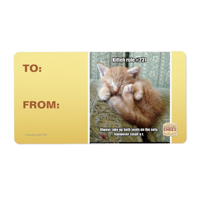 Kitteh rule #231 (Front)