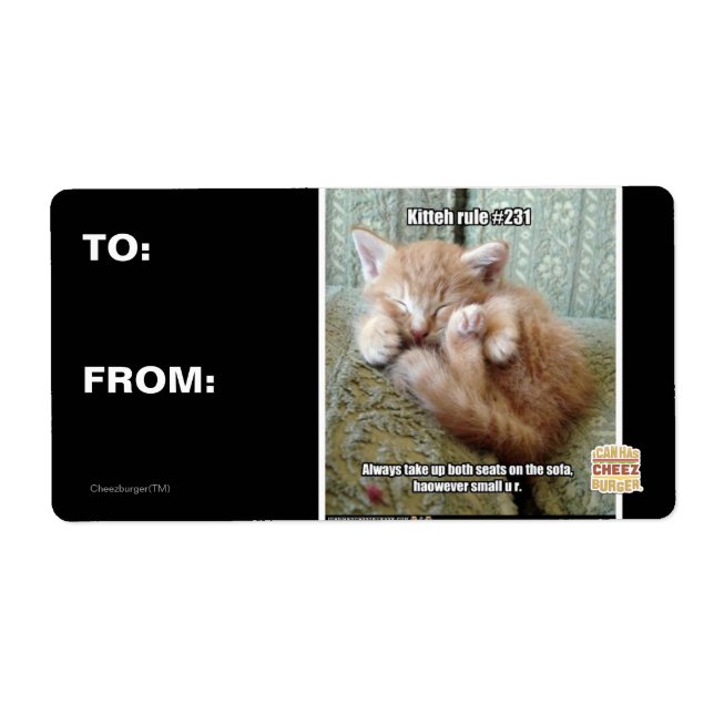 Kitteh rule #231 (Front)