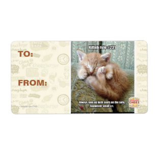 Kitteh rule #231