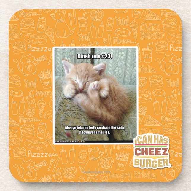 Kitteh rule #231 coaster (Front)