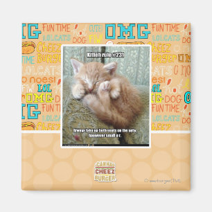 Kitteh rule #231 magnet
