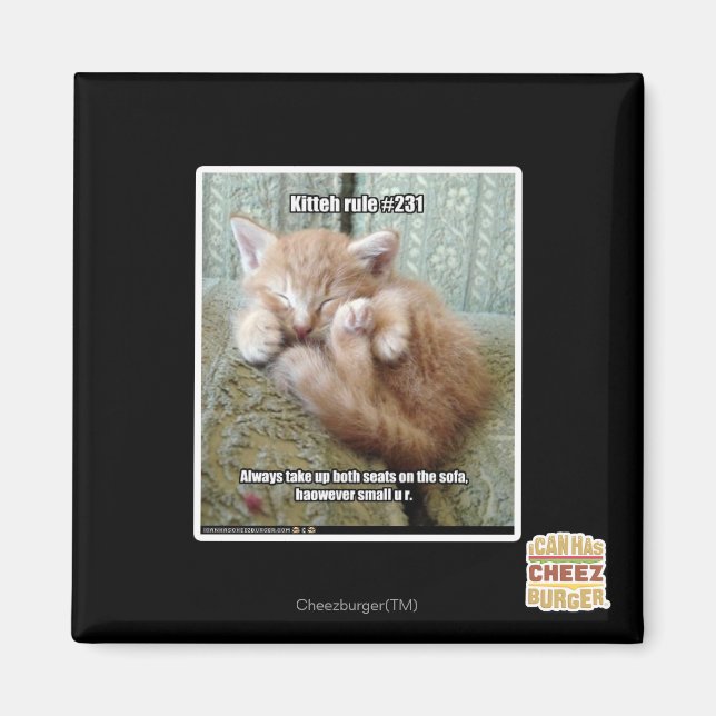 Kitteh rule #231 magnet (Front)