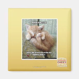 Kitteh rule #231 magnet