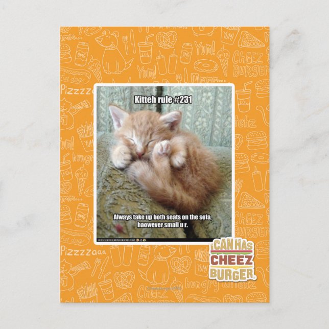 Kitteh rule #231 postcard (Front)