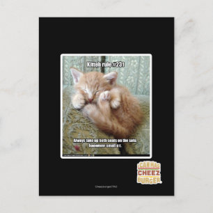 Kitteh rule #231 postcard