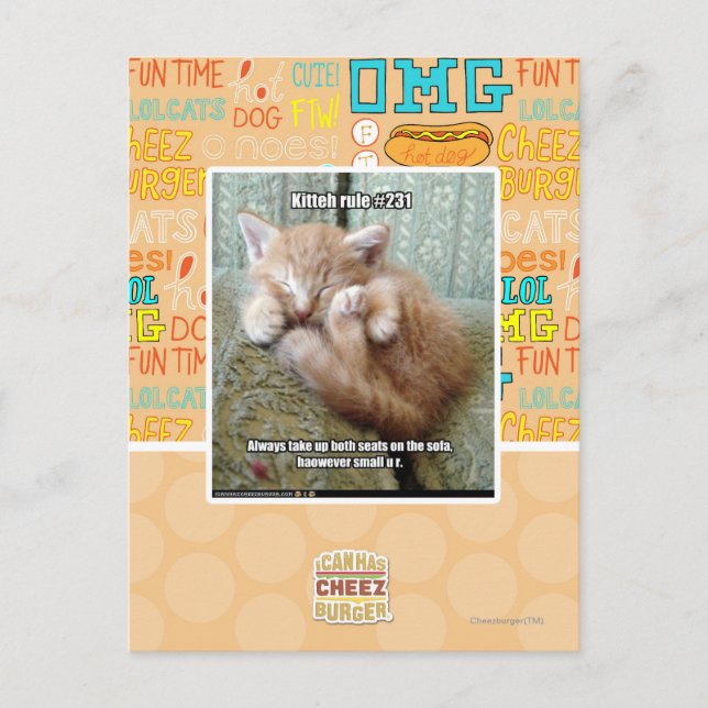 Kitteh rule #231 postcard (Front)