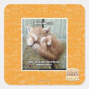 Kitteh rule #231 square sticker