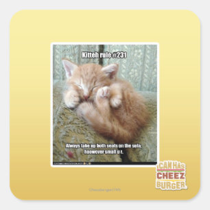 Kitteh rule #231 square sticker