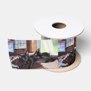 Kittems Satin Ribbon