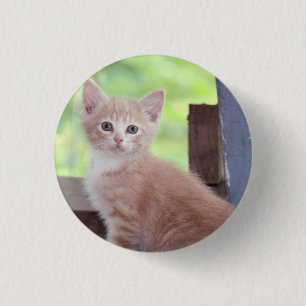 Kitten 3 cm round badge