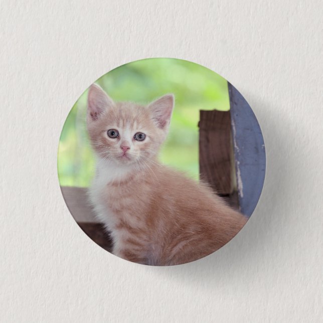 Kitten  3 cm round badge (Front)