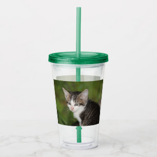 Kitten Acrylic Tumbler
