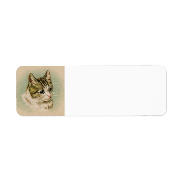 Kitten address label (Front)