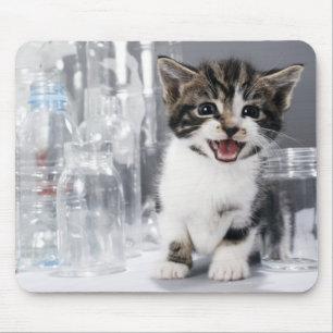 Kitten amongst recycled bottles and jars mouse mat