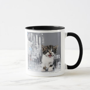 Kitten amongst recycled bottles and jars mug