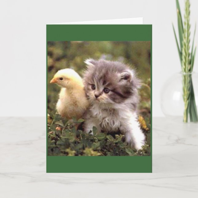 Kitten and Baby Chick Card (Front)