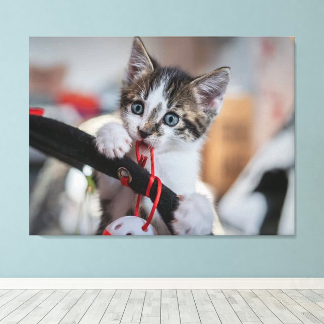 kitten and ball canvas print (Insitu(Wood Floor))
