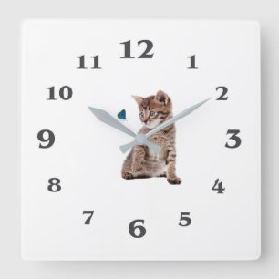 Kitten and Butterfly image for Square-Wall-Clock Square Wall Clock