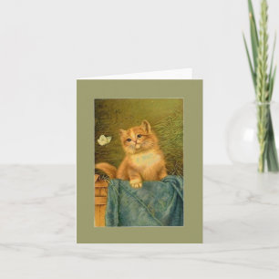 Kitten and Butterfly Note Card