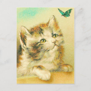 Kitten And Butterfly Vintage Postcard