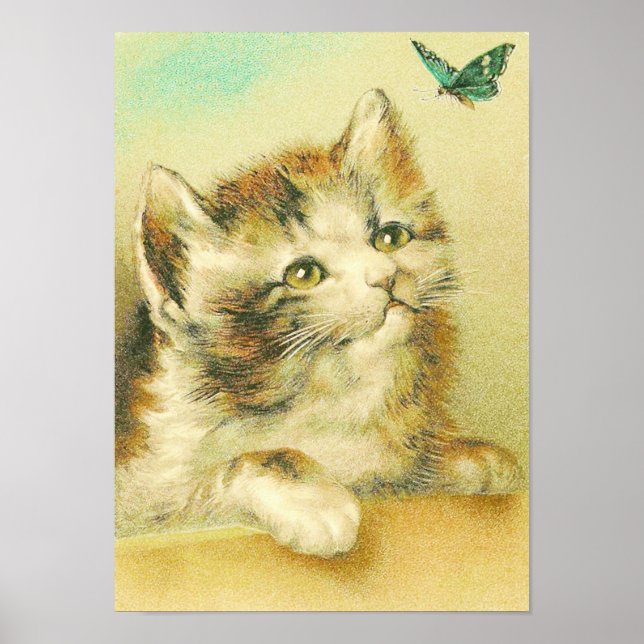 Kitten And Butterfly Vintage Poster (Front)