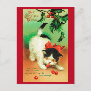 Kitten and Christmas Holly Postcard