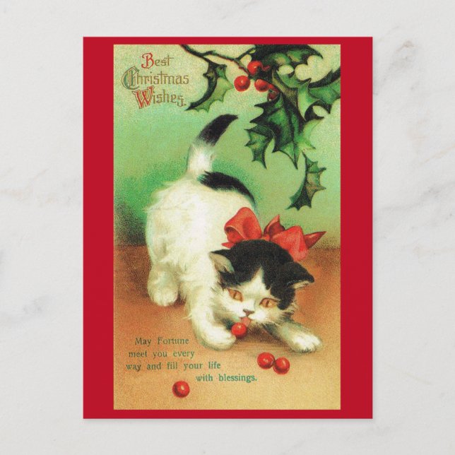 Kitten and Christmas Holly Postcard (Front)