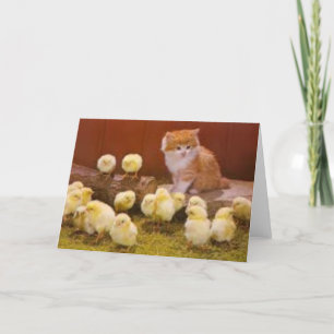 Kitten and Easter Chicks Holiday Card
