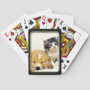 Kitten and Puppy Photo Art Playing Cards