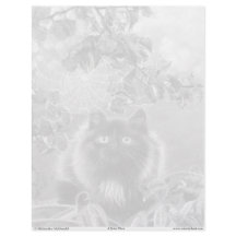 Kitten and Spiderweb Grayscale Colouring Page