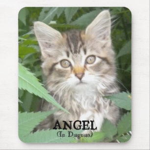 KITTEN = ANGEL, (In Disguise) Mouse Mat